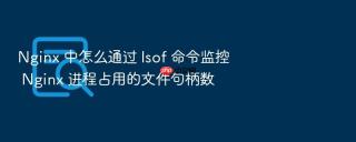 nginx 中怎么通过 lsof 命令监控 nginx 进程占用的文件句柄数
