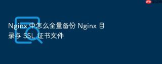 Nginx 中怎么全量备份 Nginx 目录与 SSL 证书文件