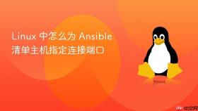 linux 中怎么为 ansible 清单主机指定连接端口
