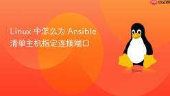 Linux 中怎么为 Ansible 清单主机指定连接端口
