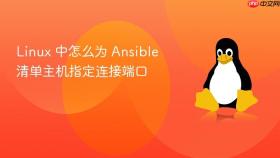 Linux 中怎么为 Ansible 清单主机指定连接端口