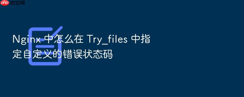nginx 中怎么在 try_files 中指定自定义的错误状态码
