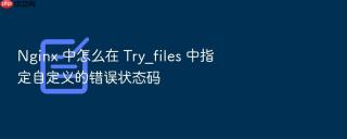 nginx 中怎么在 try_files 中指定自定义的错误状态码