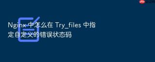 Nginx 中怎么在 Try_files 中指定自定义的错误状态码