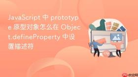 javascript 中 prototype 原型对象怎么在 object.defineproperty 中设置描述符