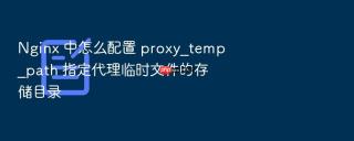 Nginx 中怎么配置 proxy_temp_path 指定代理临时文件的存储目录