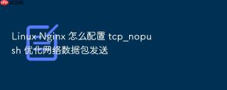 Linux Nginx 怎么配置 tcp_nopush 优化网络数据包发送
