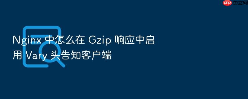 nginx 中怎么在 gzip 响应中启用 vary 头告知客户端