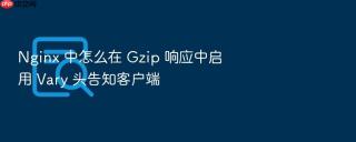 Nginx 中怎么在 Gzip 响应中启用 Vary 头告知客户端