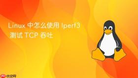linux 中怎么使用 iperf3 测试 tcp 吞吐