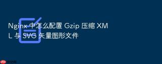 nginx 中怎么配置 gzip 压缩 xml 与 svg 矢量图形文件