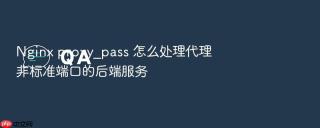nginx proxy_pass 怎么处理代理非标准端口的后端服务