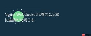 nginx websocket代理怎么记录长连接的访问日志