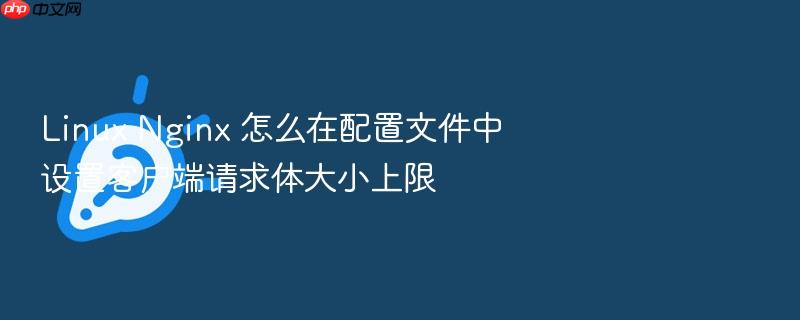 linux nginx 怎么在配置文件中设置客户端请求体大小上限