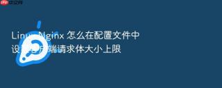 linux nginx 怎么在配置文件中设置客户端请求体大小上限