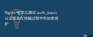 nginx 中怎么测试 auth_basic 认证信息在传输过程中的加密保护