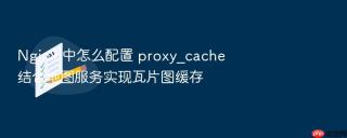 nginx 中怎么配置 proxy_cache 结合地图服务实现瓦片图缓存