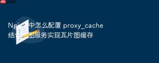 Nginx 中怎么配置 proxy_cache 结合地图服务实现瓦片图缓存