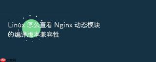 linux 怎么查看 nginx 动态模块的编译版本兼容性