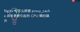 Nginx 中怎么排查 proxy_cache 异步更新引起的 CPU 瞬时飙升