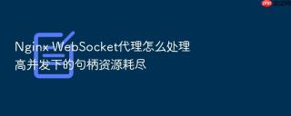 Nginx WebSocket代理怎么处理高并发下的句柄资源耗尽