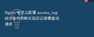 Nginx 中怎么配置 access_log 结合条件判断实现仅记录慢查询请求