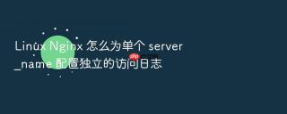 linux nginx 怎么为单个 server_name 配置独立的访问日志