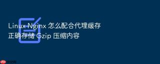 Linux Nginx 怎么配合代理缓存正确存储 Gzip 压缩内容