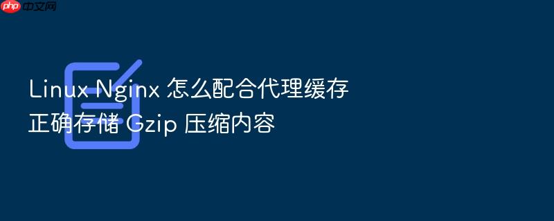 linux nginx 怎么配合代理缓存正确存储 gzip 压缩内容