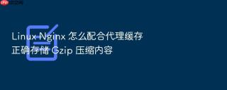 linux nginx 怎么配合代理缓存正确存储 gzip 压缩内容
