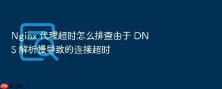 nginx 代理超时怎么排查由于 dns 解析慢导致的连接超时