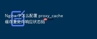 nginx 中怎么配置 proxy_cache 缓存重定向响应状态码