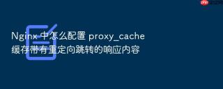 nginx 中怎么配置 proxy_cache 缓存带有重定向跳转的响应内容