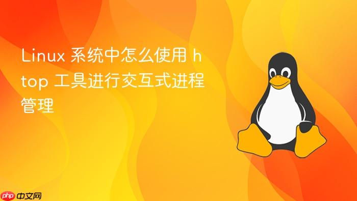 linux 系统中怎么使用 htop 工具进行交互式进程管理