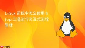 linux 系统中怎么使用 htop 工具进行交互式进程管理