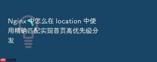 nginx 中怎么在 location 中使用精确匹配实现首页高优先级分发