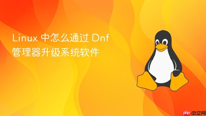 linux 中怎么通过 dnf 管理器升级系统软件