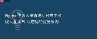 Nginx 中怎么排查访问日志中出现大量 499 状态码的业务原因