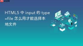 html5 中 input 的 type=file 怎么用才能选择本地文件