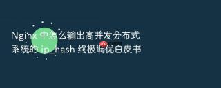 nginx 中怎么输出高并发分布式系统的 ip_hash 终极调优白皮书
