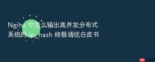 Nginx 中怎么输出高并发分布式系统的 ip_hash 终极调优白皮书