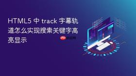 html5 中 track 字幕轨道怎么实现搜索关键字高亮显示