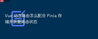Vue 动态路由怎么配合 Pinia 存储并恢复路由状态