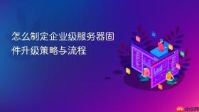 怎么制定企业级服务器固件升级策略与流程
