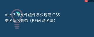 vue 3 单文件组件怎么规范 css 类名命名规范（bem 命名法）