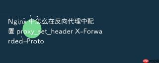 nginx 中怎么在反向代理中配置 proxy_set_header x-forwarded-proto