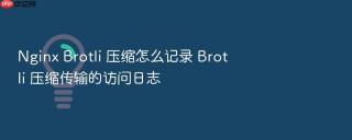nginx brotli 压缩怎么记录 brotli 压缩传输的访问日志