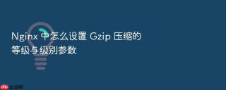 Nginx 中怎么设置 Gzip 压缩的等级与级别参数
