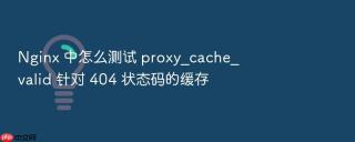 nginx 中怎么测试 proxy_cache_valid 针对 404 状态码的缓存