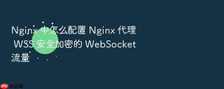 Nginx 中怎么配置 Nginx 代理 WSS 安全加密的 WebSocket 流量